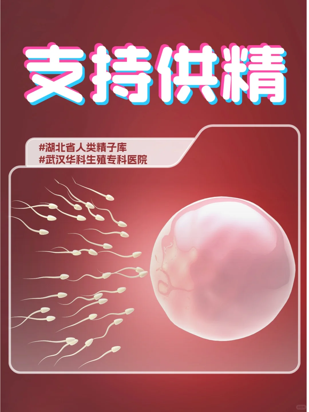 可以供精！特殊情况下支持向备孕家庭提供,国内助孕服务-借卵代孕服务
