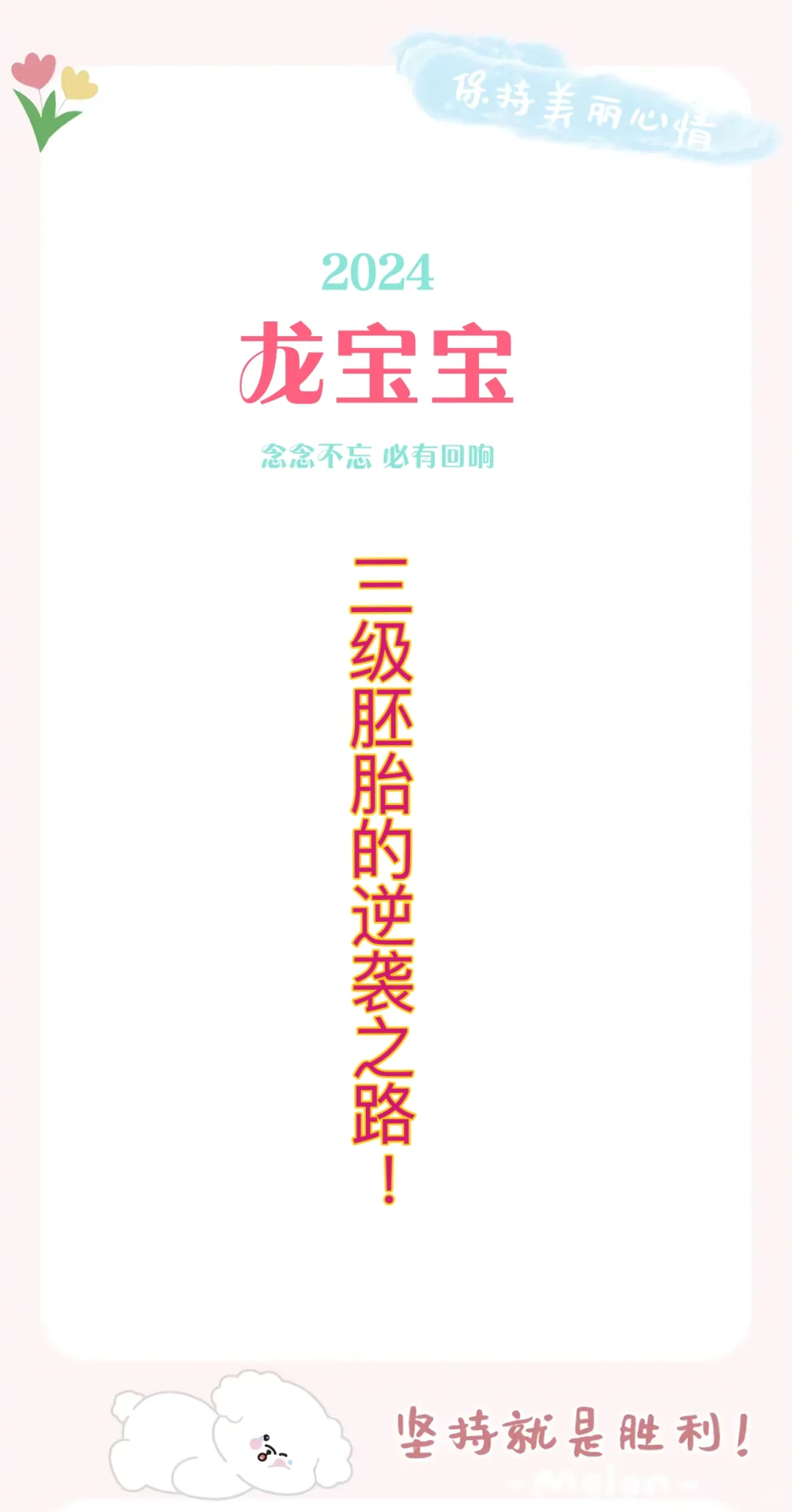 3级胚胎的逆袭！,国内怎么代生孩子&国内哪里做供卵试管婴儿好